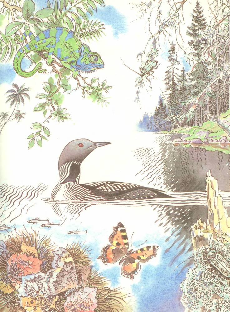 Лесной театр - _16.jpg