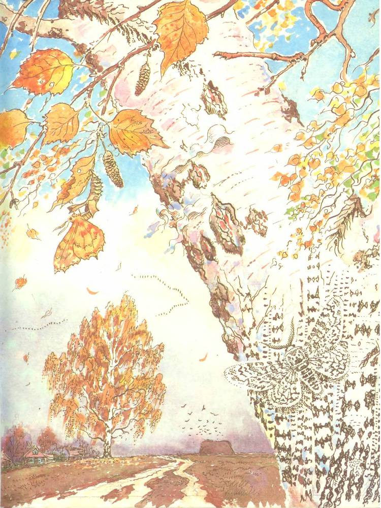 Лесной театр - _17.jpg