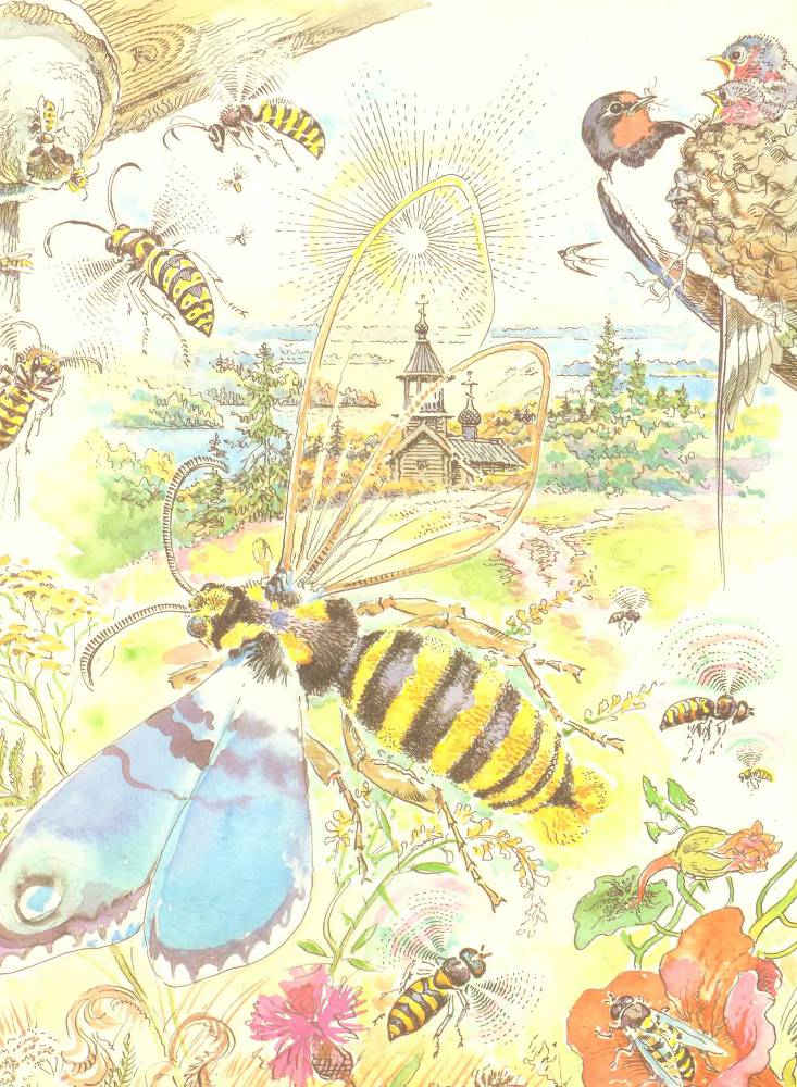 Лесной театр - _11.jpg