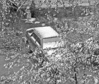 Литературная Газета 6300 ( № 45 2010) - TAG_userfiles_image_50_6304_2010_6-4_jpg266650