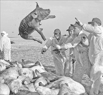 Литературная Газета 6448 ( № 5 2014) - TAG_upload_medialibrary_19e_19e61db33a27db04a3132d5c5215e4ca_jpg246984