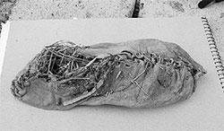 Литературная Газета 6517 ( № 29 2015) - TAG_upload_iblock_326_326ac7cbfbb065daf91e06effa4a7e73_jpg394605