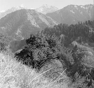 Литературная Газета 6524 ( № 36 2015) - TAG_upload_iblock_fac_fac58f60651d928d62c27c8430e355e8_jpg453387