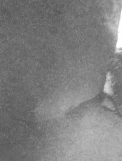 Машина Уриила - i_072.jpg