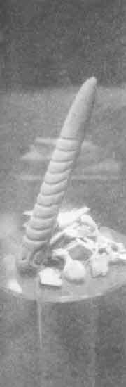 Машина Уриила - i_077.jpg