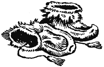 Очерки по истории географических открытий. Географические открытия и исследования нового времени (XIX — начало XX в.). Том 4 - i_092.png