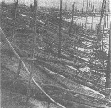 Никола Тесла и загадка Тунгусского метеорита - i_004.jpg