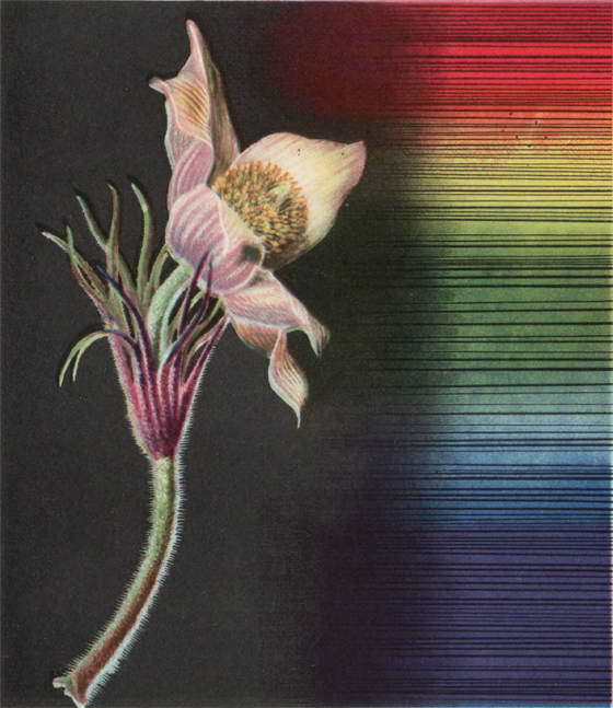 Новеллы о камне - _20.jpg