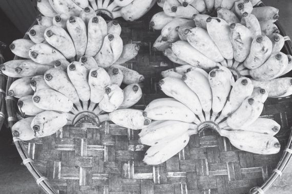 Продукты без тайн! - i_004.jpg