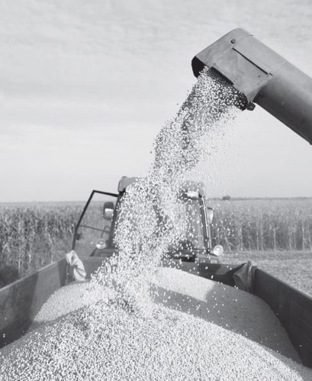 Продукты без тайн! - i_027.jpg