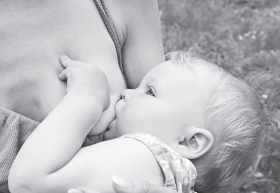 Продукты без тайн! - i_029.jpg