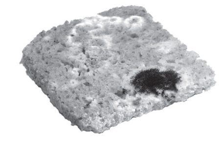 Продукты без тайн! - i_053.jpg