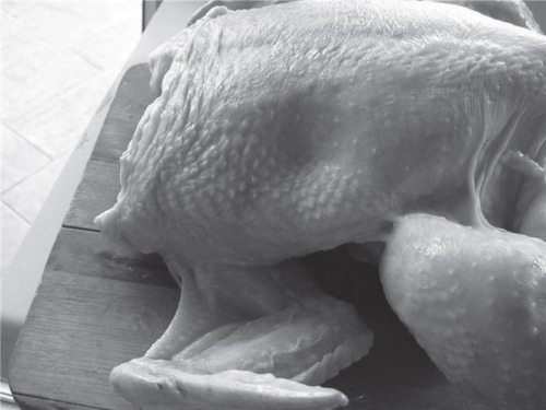 Продукты без тайн! - i_088.jpg