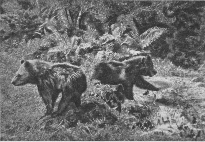 Жизненный путь Марины - i_025.jpg