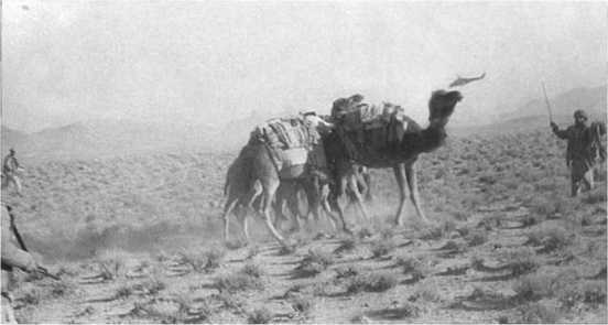 Афганистан. Война разведчиков - i_118.jpg