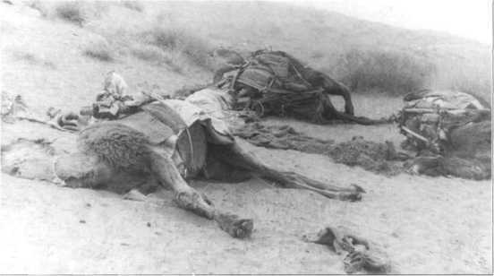 Афганистан. Война разведчиков - i_119.jpg