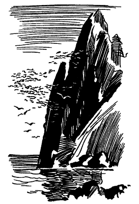 Повесть о белой медведице - _1.png