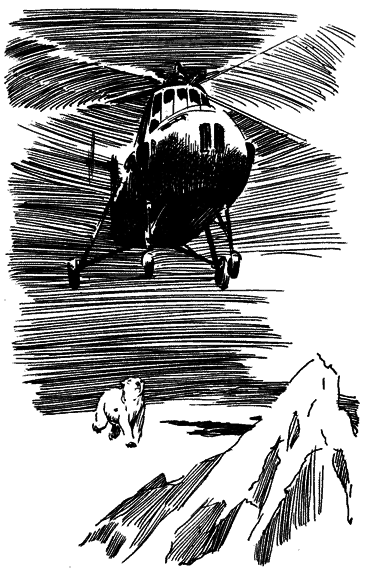 Повесть о белой медведице - _2.png