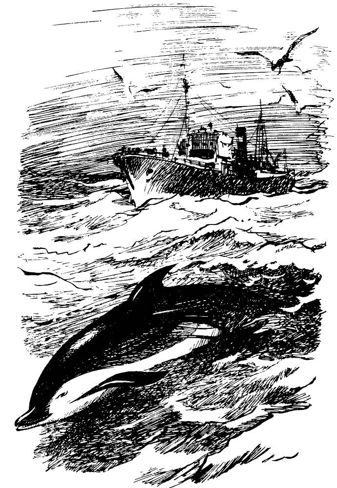 Северные новеллы - _30.jpg