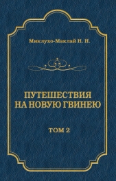 Путешествия на Новую Гвинею (Дневники путешествий 1872—1875). Том 1 - автор Миклухо-Маклай Николай Николаевич 