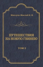 Путешествия на Новую Гвинею (Дневники путешествий 1874—1887). Том 2 - автор Миклухо-Маклай Николай Николаевич 