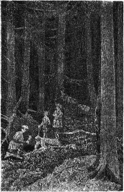 Клад - i_009.jpg