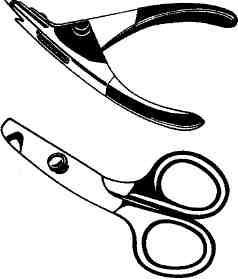 Морская свинка - imgFEEA.jpg