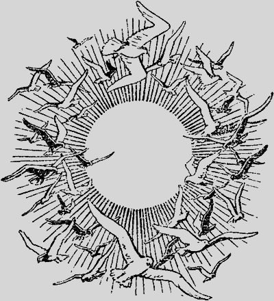 Ищи на диком берегу - img08.png