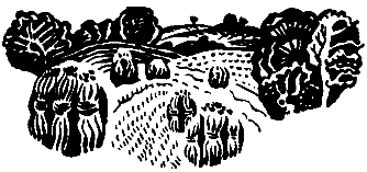 Операция «Муравей» - pic_3.png