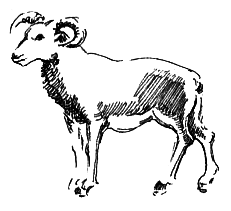 Мандариновые острова - i_022.png