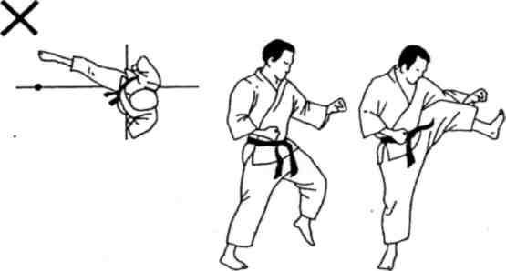 Динамика каратэ - img_165.jpeg