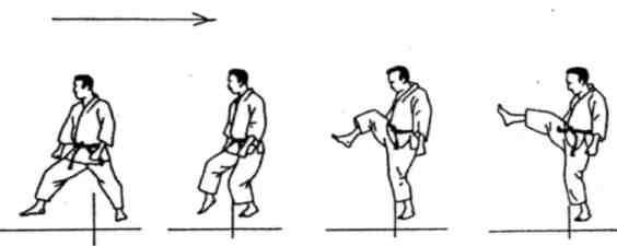 Динамика каратэ - img_166.jpeg