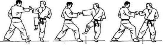 Динамика каратэ - img_178.jpeg