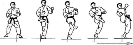 Динамика каратэ - img_183.jpeg