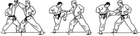 Динамика каратэ - img_302.jpeg