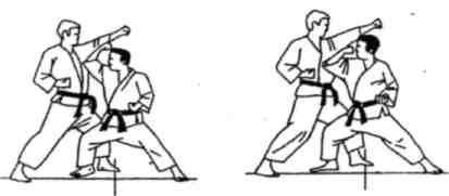 Динамика каратэ - img_306.jpeg