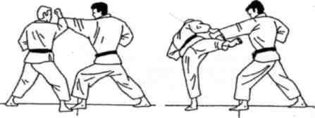 Динамика каратэ - img_311.jpeg