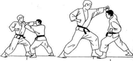 Динамика каратэ - img_320.jpeg