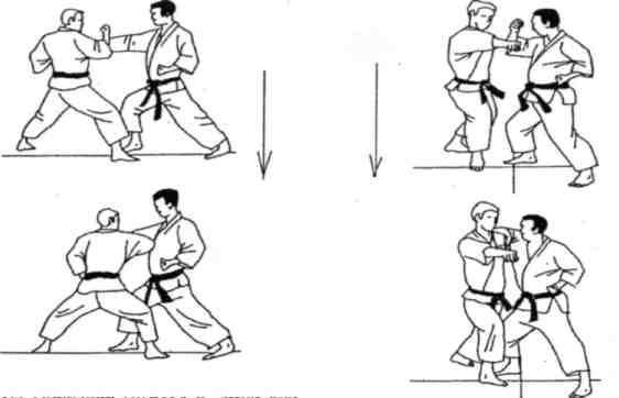 Динамика каратэ - img_337.jpeg