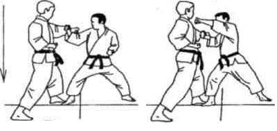 Динамика каратэ - img_341.jpeg