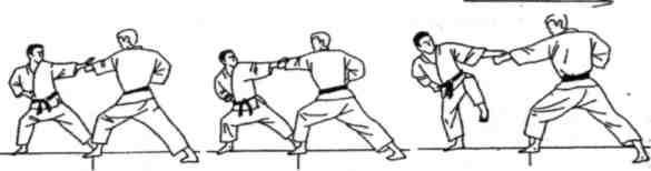 Динамика каратэ - img_344.jpeg