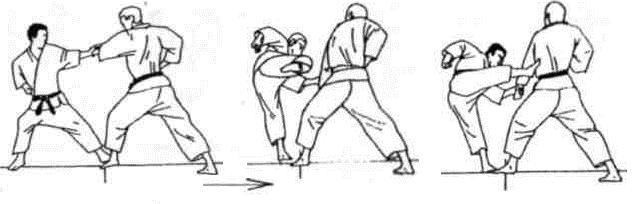 Динамика каратэ - img_347.jpeg