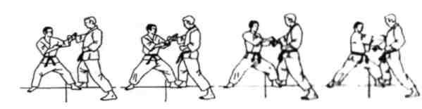 Динамика каратэ - img_354.jpeg