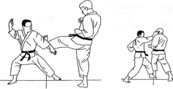 Динамика каратэ - img_364.jpeg