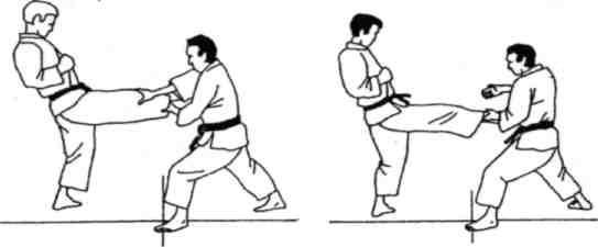 Динамика каратэ - img_369.jpeg