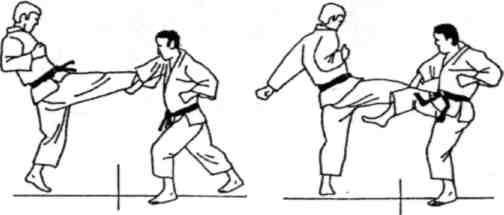 Динамика каратэ - img_371.jpeg