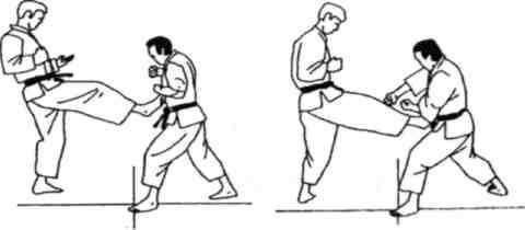 Динамика каратэ - img_372.jpeg