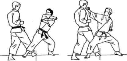 Динамика каратэ - img_373.jpeg