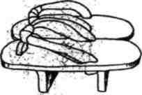 Динамика каратэ - img_394.jpeg