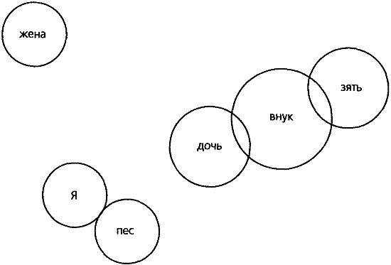 Ненаправленная анималотерапия. Позитивные и негативные аспекты взаимодействия с собакой у детей и взрослых - i_038.png